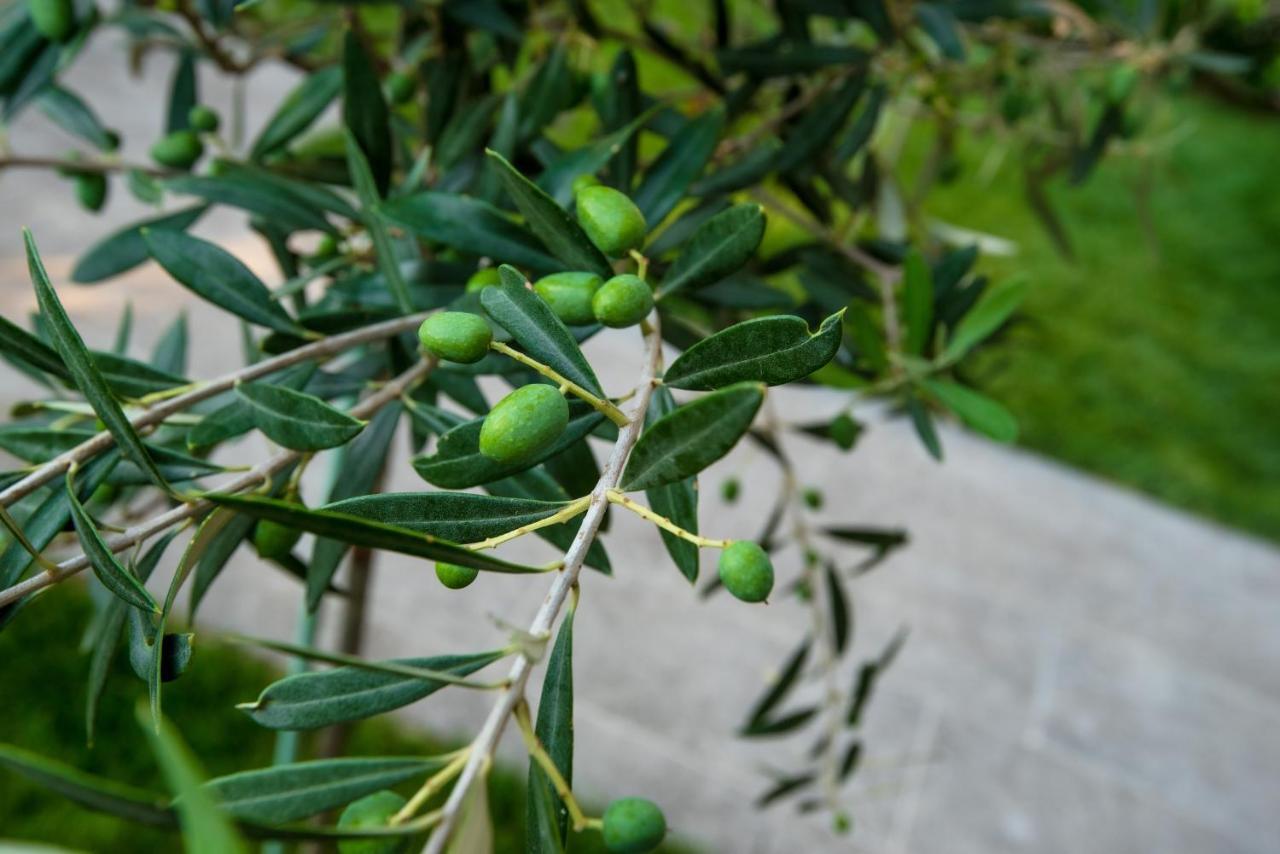 Olive 102 Lejlighed Peraía Eksteriør billede